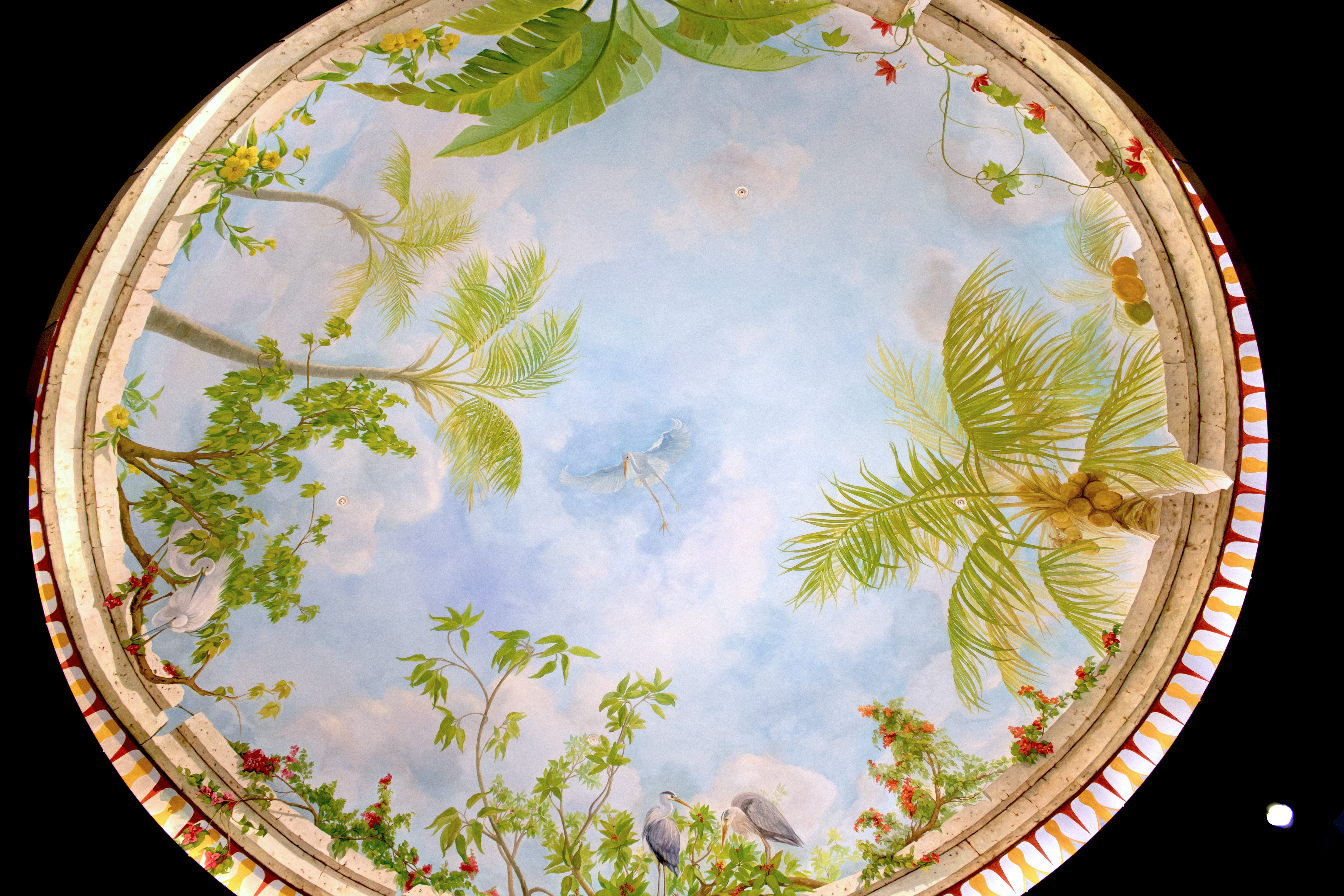 Dome in rotunda mural detail with Florida flora and fauna, palm trees, banana tree, blue heron, egrets, public art mural, South Florida murals